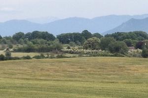 Terreno di 2 ettari