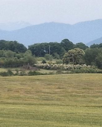 Terreno di 2 ettari