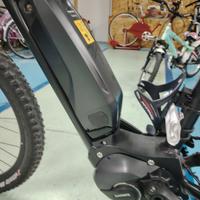 e-bike 