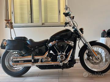 Softail standard (street bob) 107