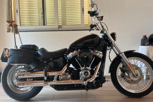 Softail standard (street bob) 107