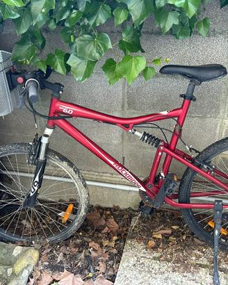 Bicicletta