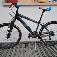 Bicicletta ragazzi Lombardo Tropea 24