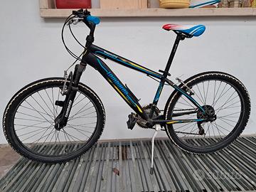 Bicicletta ragazzi Lombardo Tropea 24