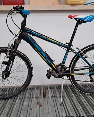 Bicicletta ragazzi Lombardo Tropea 24