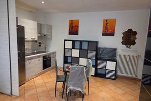 Monolocale arredato 35mq via Galeotti Bologna