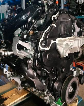MOTORE YH01