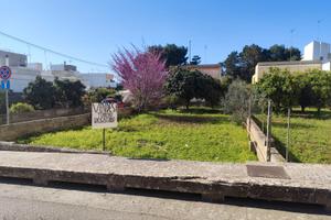Terreno edificabile Sannicola (Le)