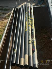 Roubasienne black carp