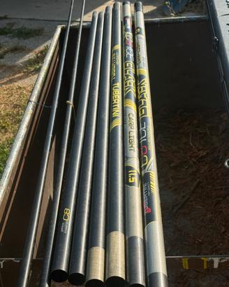 Roubasienne black carp