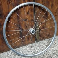 Ruota bici