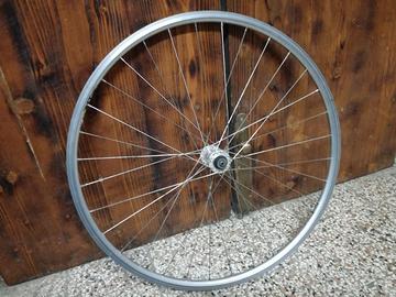 Ruota bici