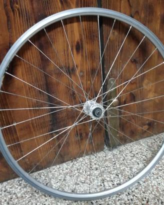 Ruota bici
