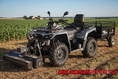 quad AODES 650 PATHCROSS t3 4X4 BICILINDRICO