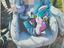 Immagine 5