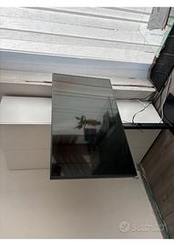 MONITOR PROFESSIONALE