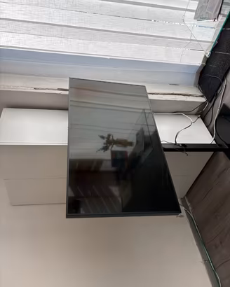 MONITOR PROFESSIONALE