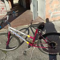 bicicletta misura 24