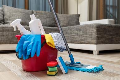 Pulizie domestiche e attivita commerciali