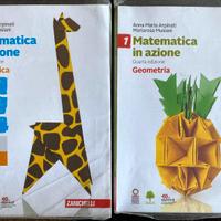 Matematica in Azione, Aritmetica + Geometria VOL 1