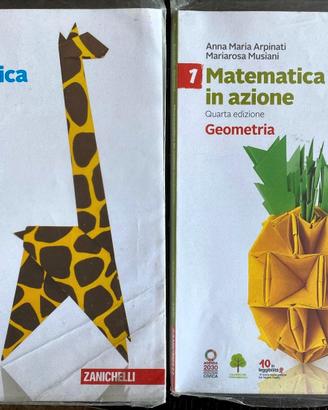 Matematica in Azione, Aritmetica + Geometria VOL 1