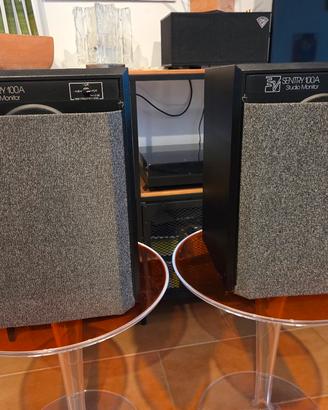 diffusori Electro-voice Sentry 100a
