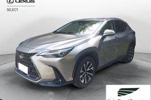 Lexus NX Hybrid Premium 4WD MY22