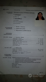 Badante barista cameriera pulizie