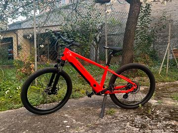 E-Mountain Bike Flash 24”/26” WorldDimension NUOVA