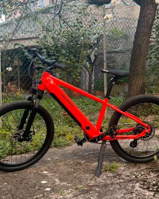 E-Mountain Bike Flash 24”/26” WorldDimension NUOVA
