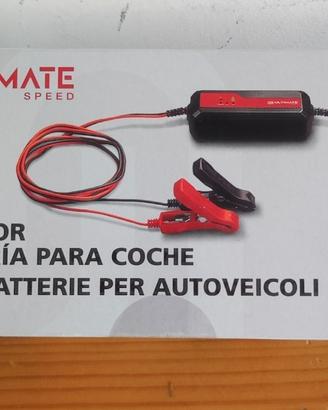 Carica batteria per auto e moto
