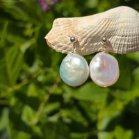 orecchini a lobo argento 925 perla di fiume bianca