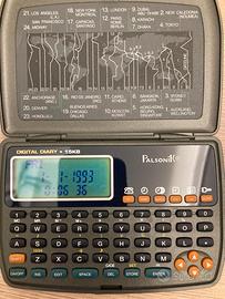 Digital Diary Palsonik anni 90