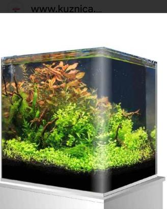 Acquario cubico artigianale 