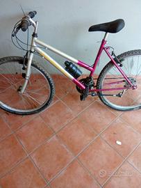 Bicicletta