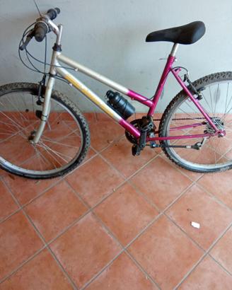 Bicicletta