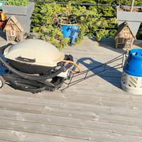 Weber Q2000 barbecue a gas