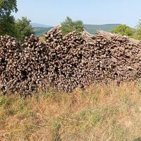 Legna per forno 