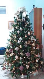 Albero