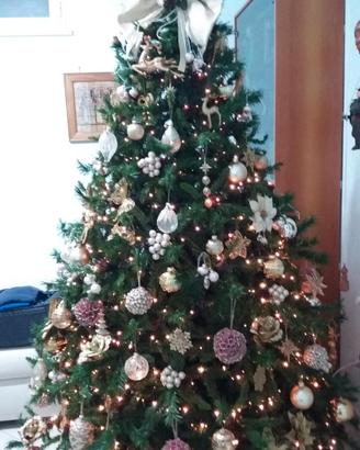 Albero