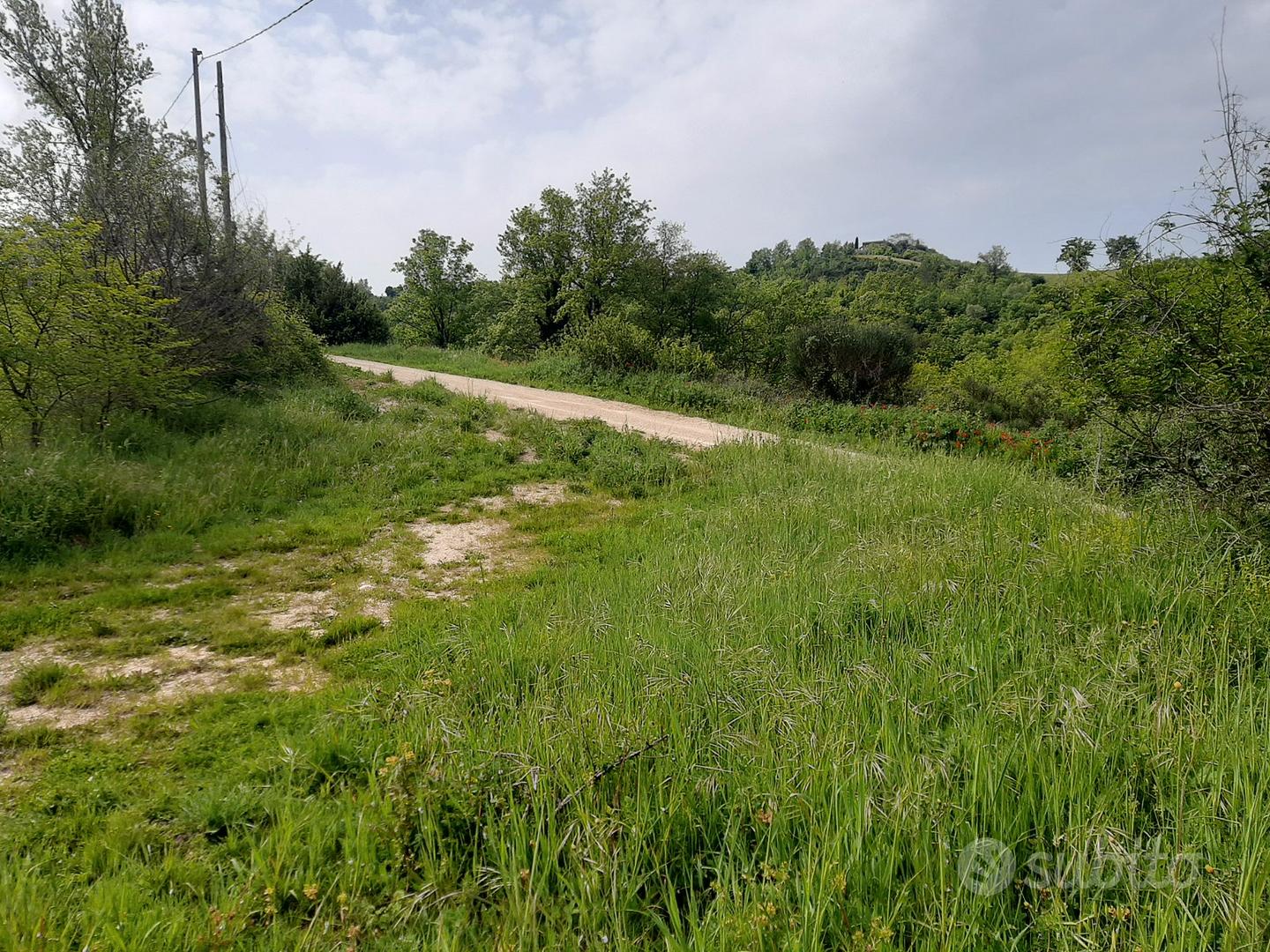 Terreno agricolo Gualdo Cattaneo - Vista 3