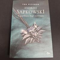 Il guardiano degli innocenti. The Witcher (Vol. 1)