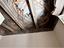 Immagine 23