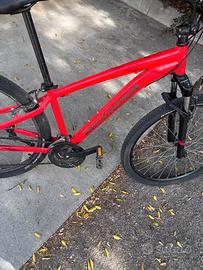 Mountain bike rock rider st 100