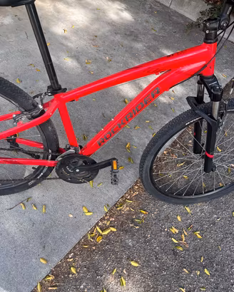 Mountain bike rock rider st 100