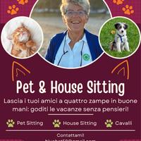Pet & House Sitter