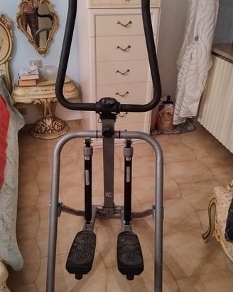 Step professionale 