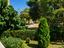 Immagine 12