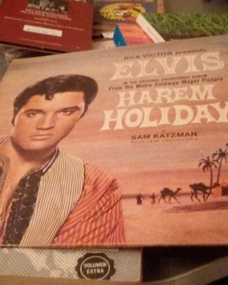 Lp 33 giri harem holiday