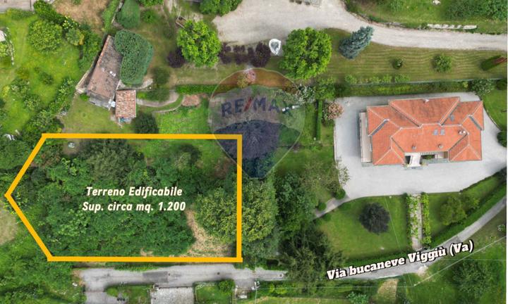 Terreno Edificabile - Viggiù